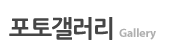 포토갤러리